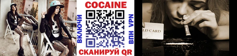 Купить закладки  Вилючинск  Cocaine Columbia 