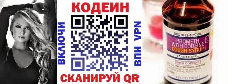 Купить закладки  Вилючинск  Кодеиновый сироп Lean напиток Lean (лин) 