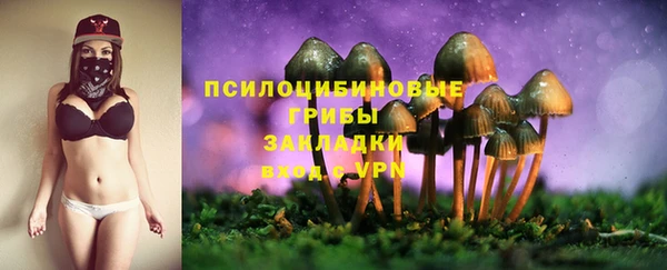 2c-b Зеленодольск