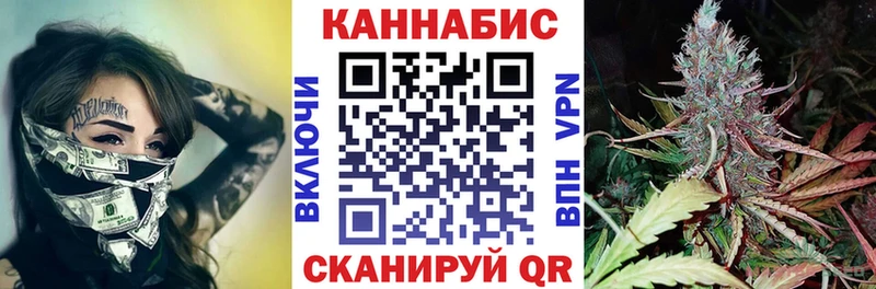 Канабис сатива  Купить где  Вилючинск 